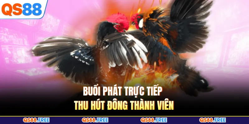 Buổi phát trực tiếp thu hút đông thành viên