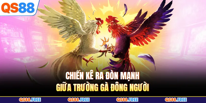 Chiến kê ra đòn mạnh giữa trường gà đông người 
