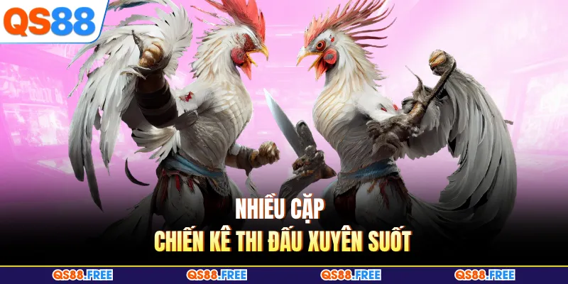 Nhiều cặp chiến kê thi đấu xuyên suốt